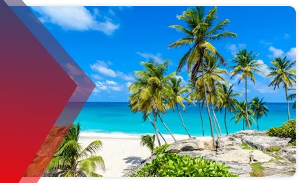 global migrate citizenship